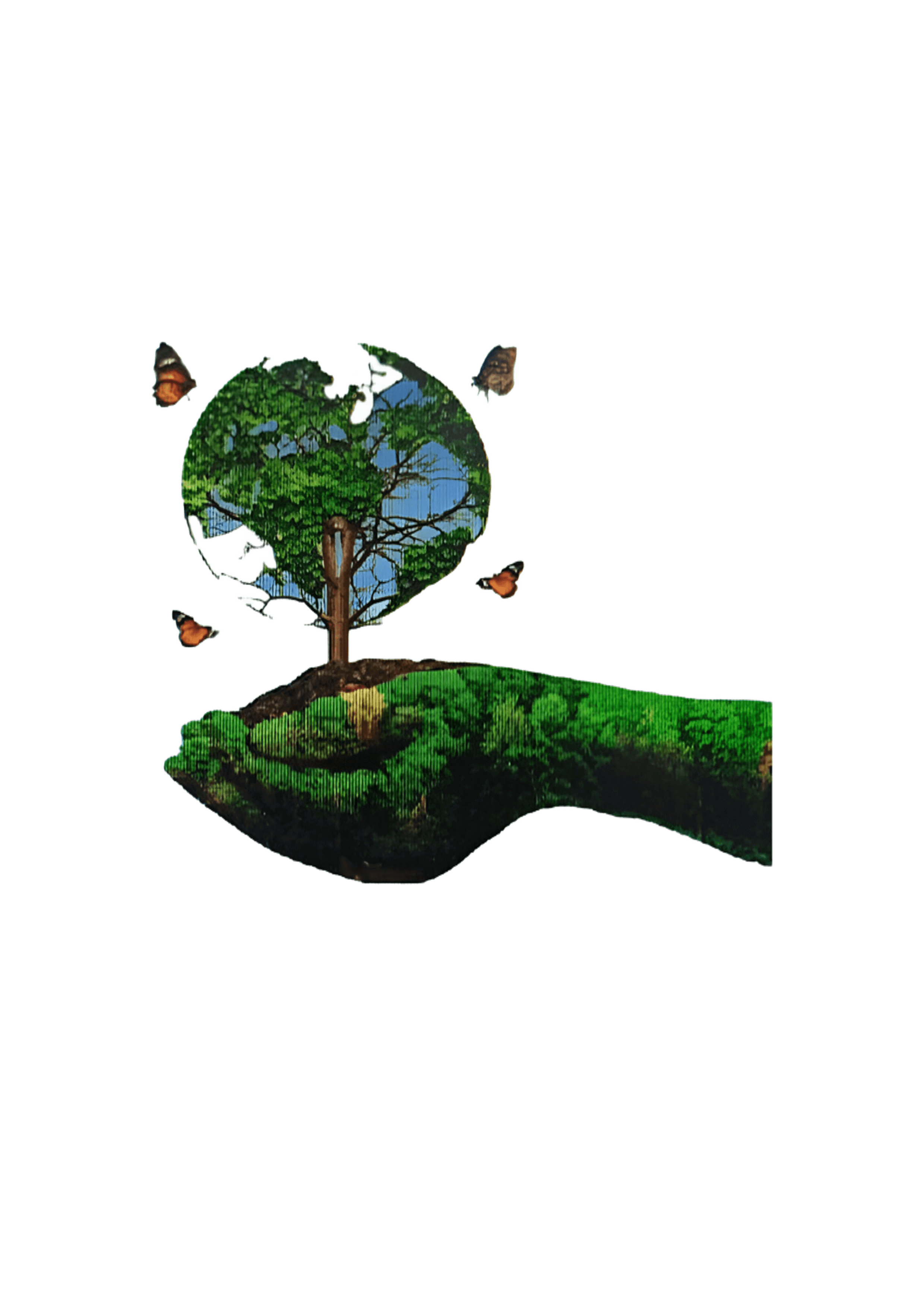 SEBANA Logo